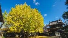 三重県多気町でインスタ写真コンテスト