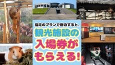 大牟田市観光キャンペーン