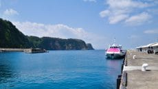 東海汽船の平日日帰り往復伊豆大島