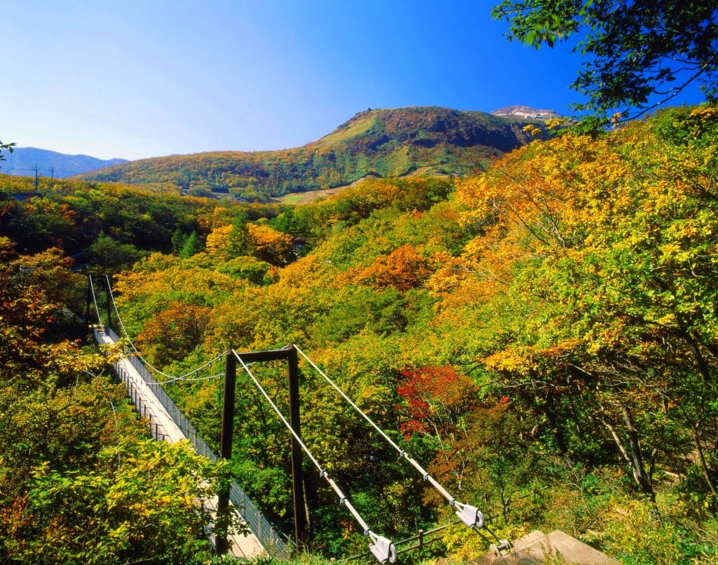 那須 弁天吊り橋