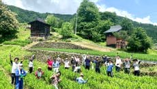 飛騨市 ヒダスケ！-飛騨市の関係案内所-