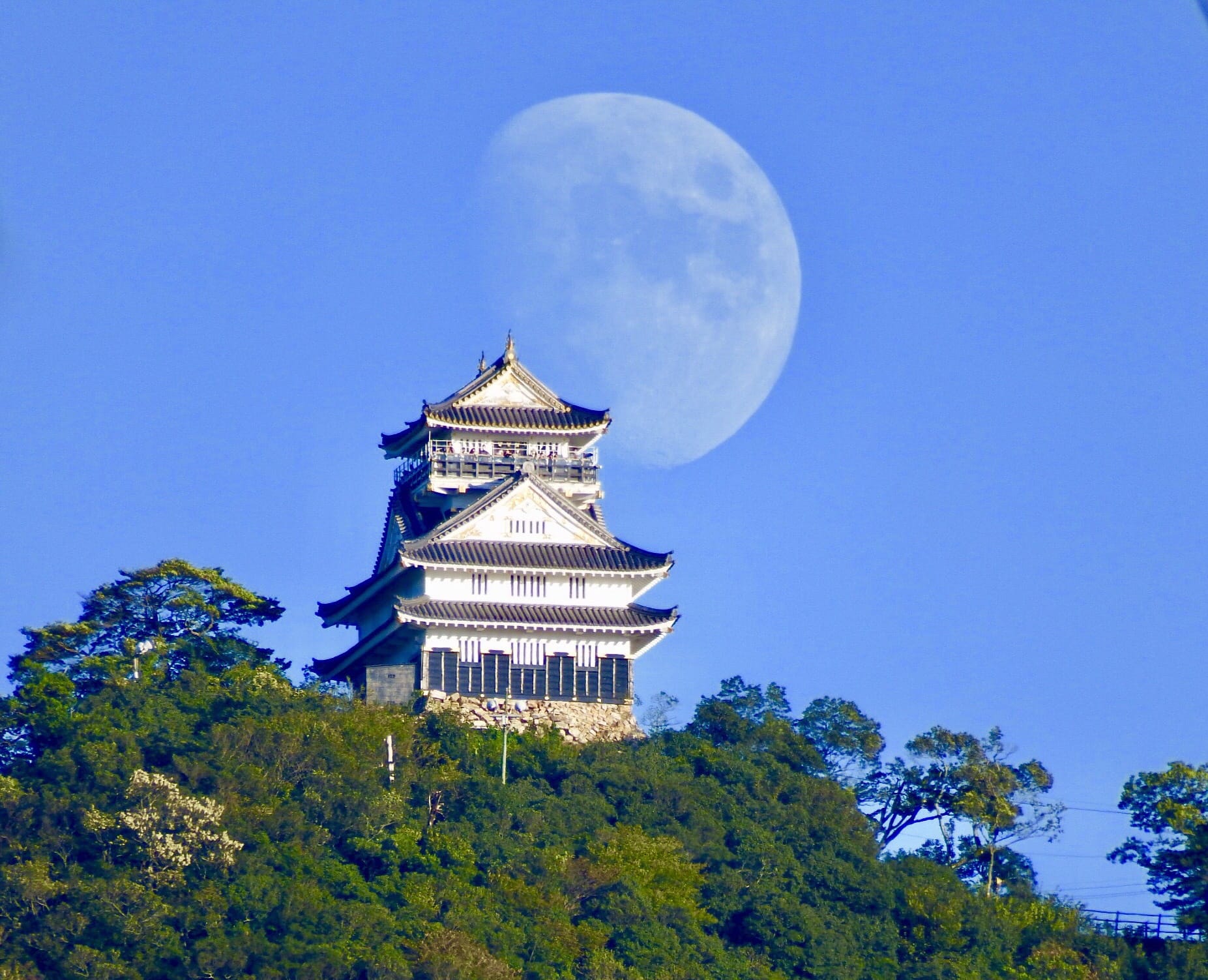 カメラと旅する岐阜市　岐阜城