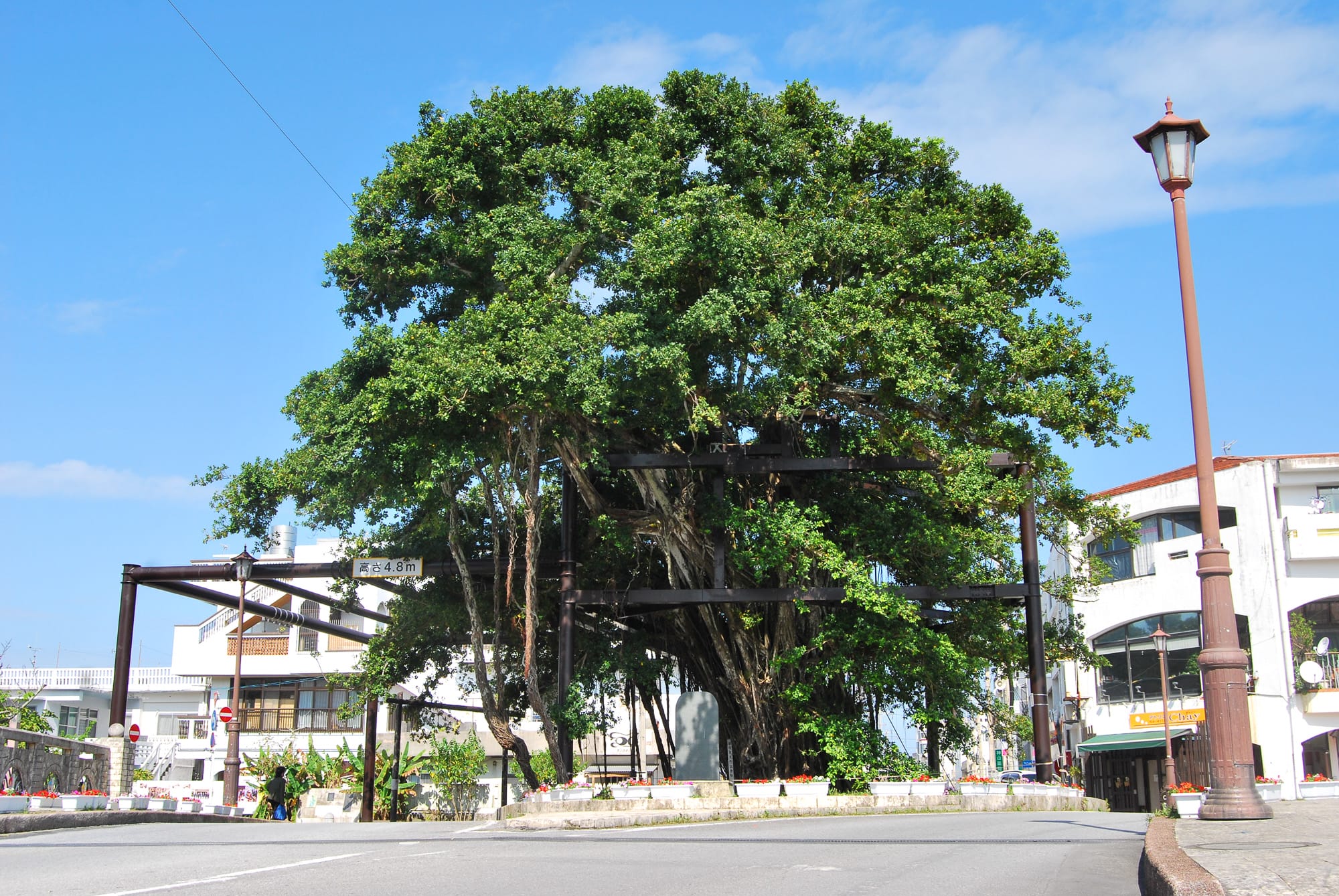 名護市 7515(ナゴイコ)キャンペーン