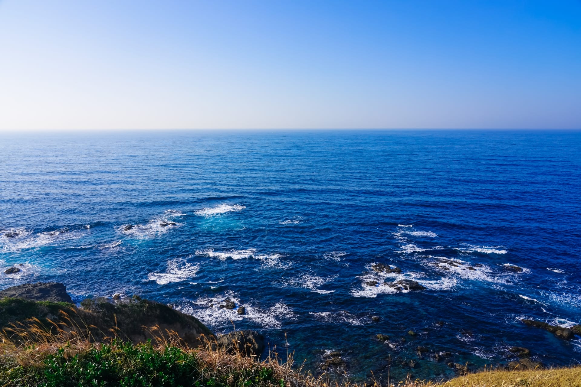 みうらおもてなしクーポン