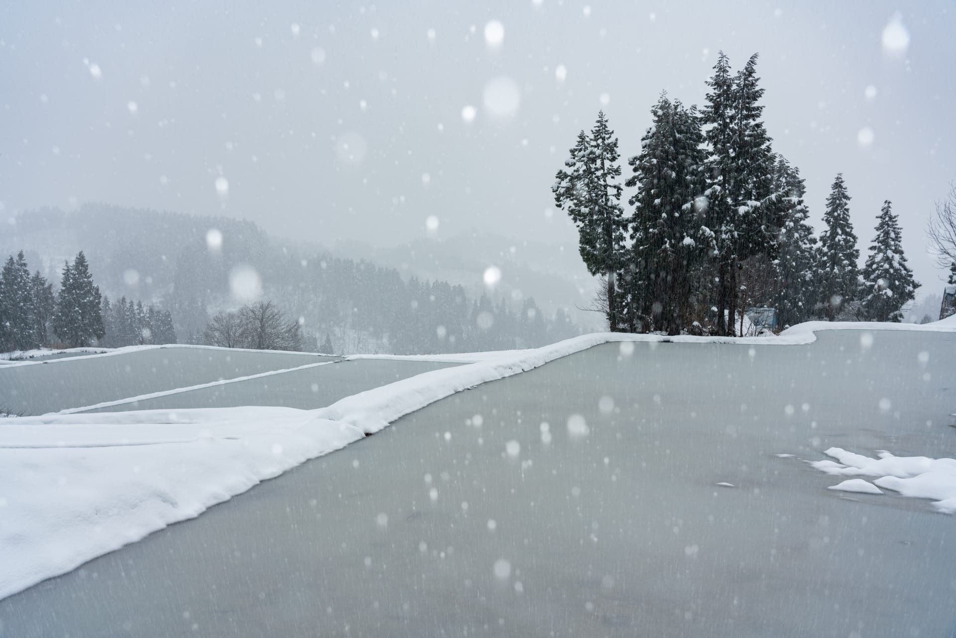 雪国観光圏 MaaSアプリ