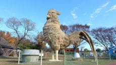 筑後町 巨大わらかがし