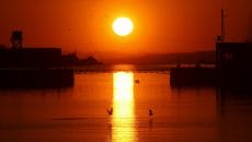 大牟田市　光の航路