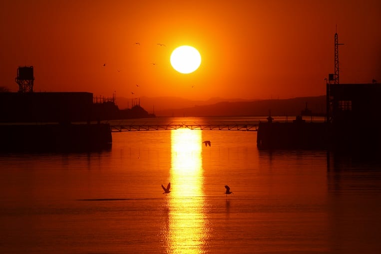 大牟田市 光の航路