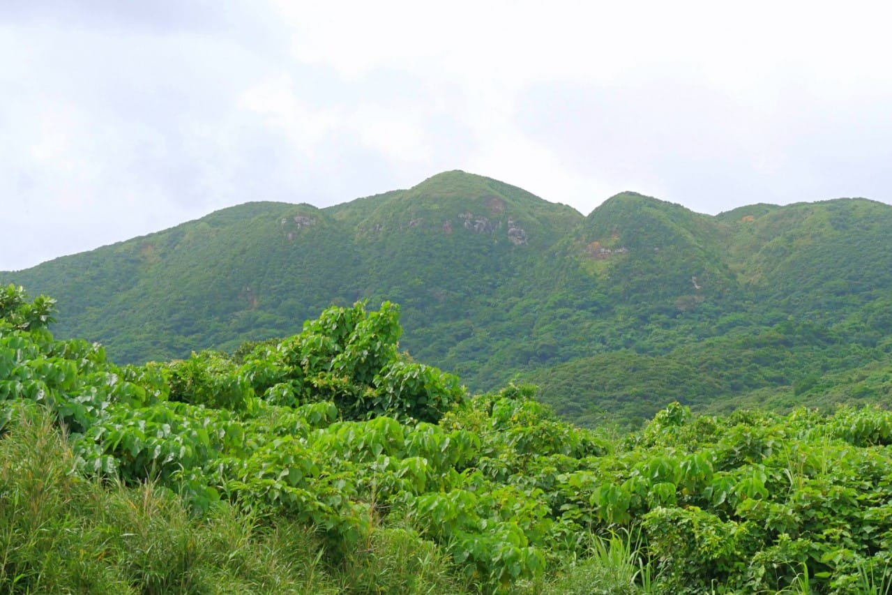 南の島　西表島