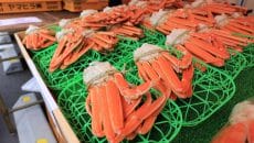 越前がに感謝市