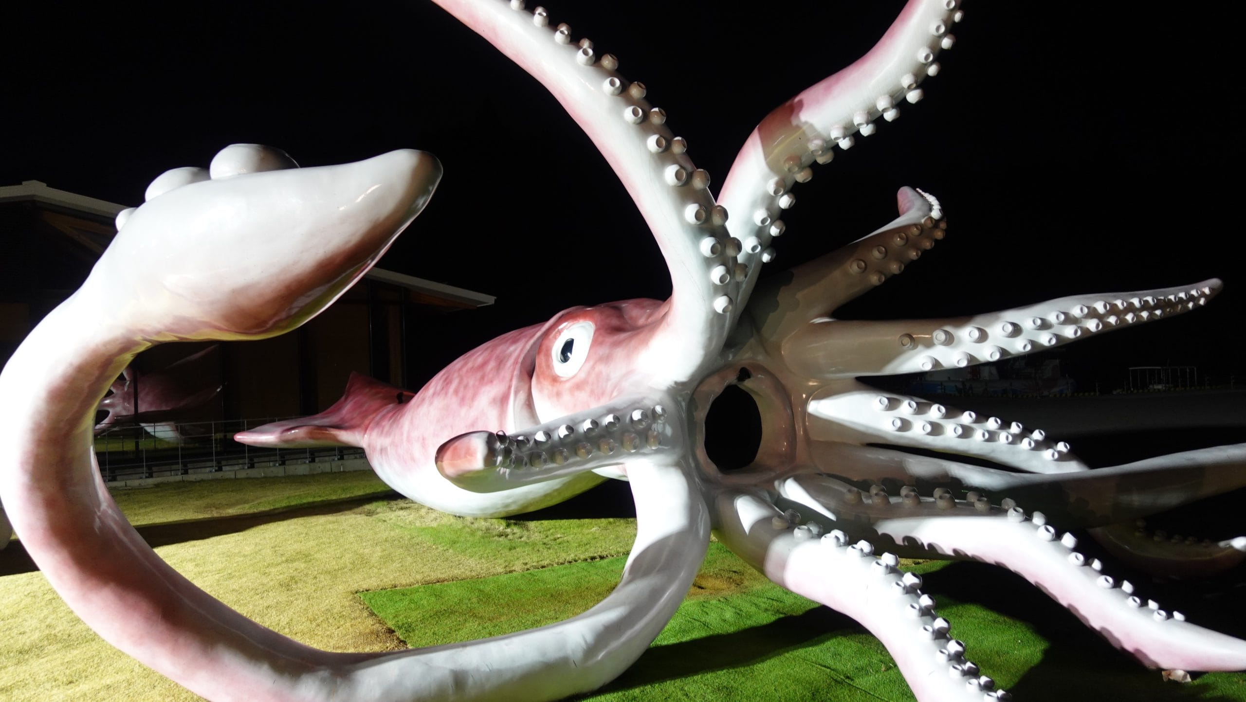 能登町 九十九湾のイカの駅つくモールのイカキング