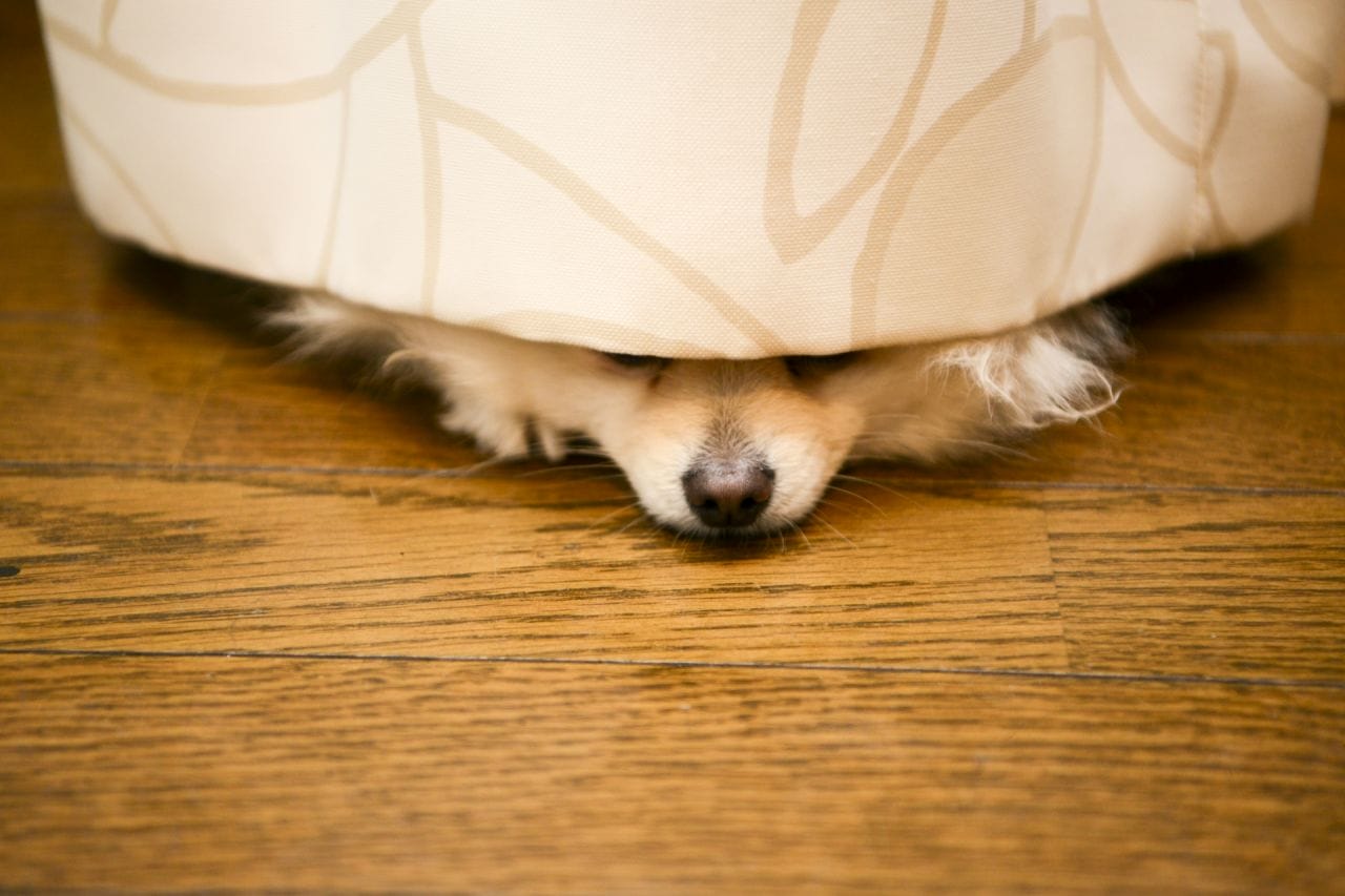 よい旅レポート