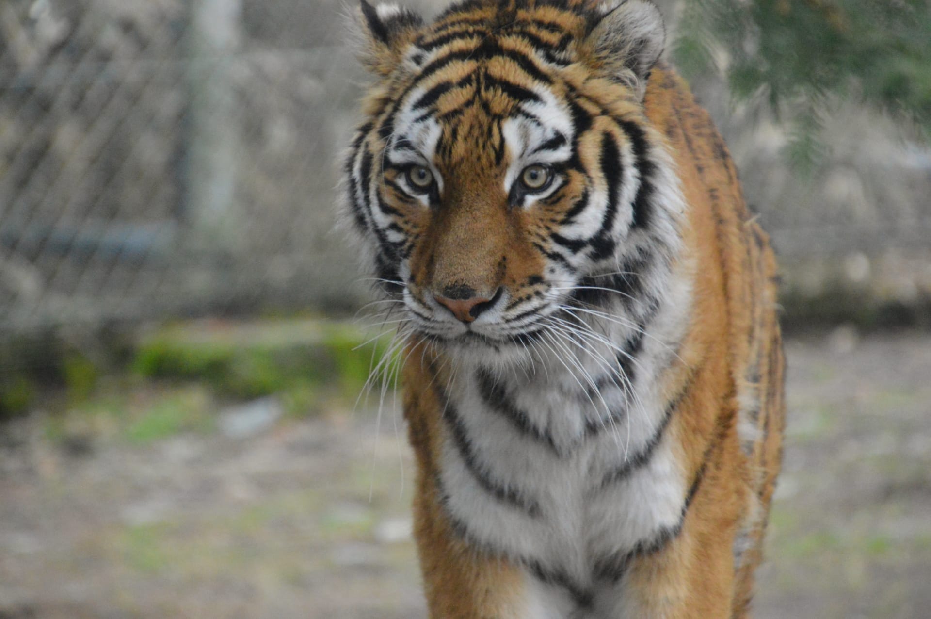 京成トラベルサービス　トラトラツアー