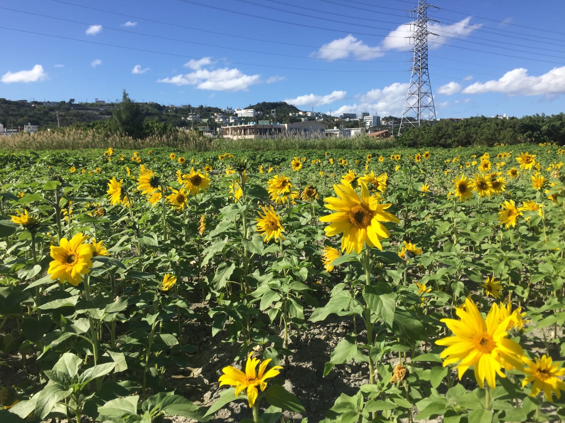 北中城村