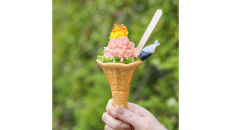 熱海のソフとろクリーム