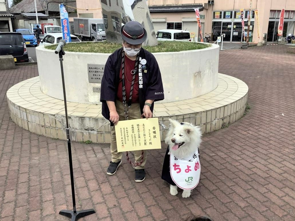 わさおの養女ちょめが観光主任