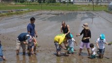 苗場プリンスホテルの田植体験