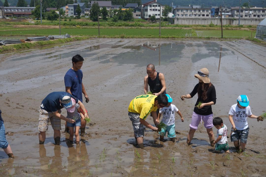 苗場プリンスホテルの田植体験