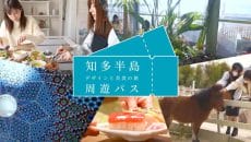 知多半島の周遊パス