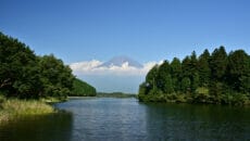 富士宮市観光協会がクーポン販売