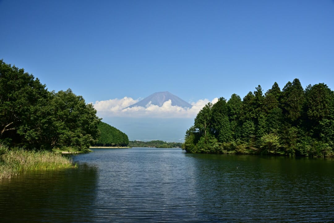 富士宮市観光協会がクーポン販売