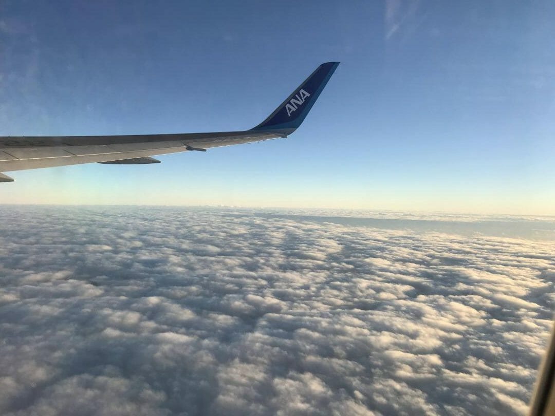 ANA 国内路線