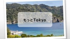東京都 旅行費助成「もっとTokyo」