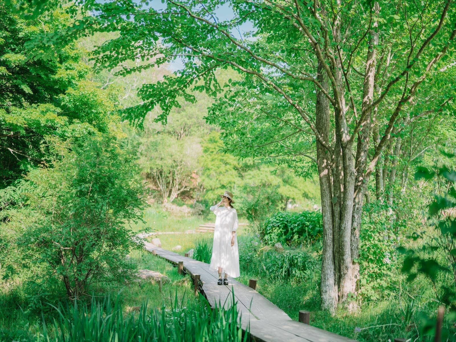 六甲山の森の音ミュージアム