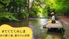 三島で富士山の湧き水の足水スポット巡り