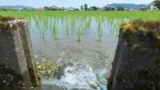 南魚沼のオンラインセミナーと現地交流会