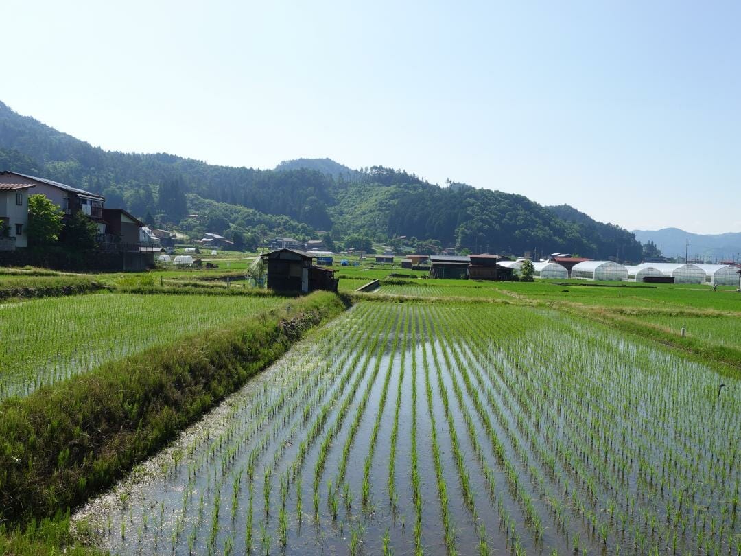 飛騨古川の気多若宮神社