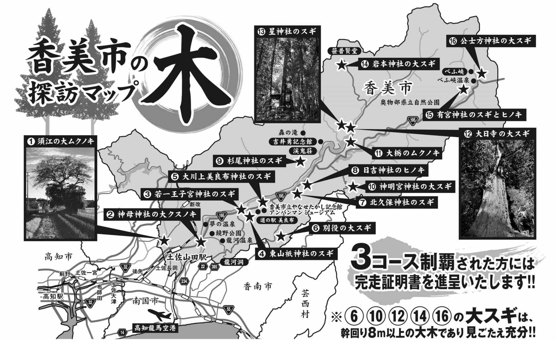 高知県香美市の巨木巡りツアー