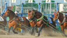 ビッグホリデー　馬のふるさと十勝・帯広旅行を提案