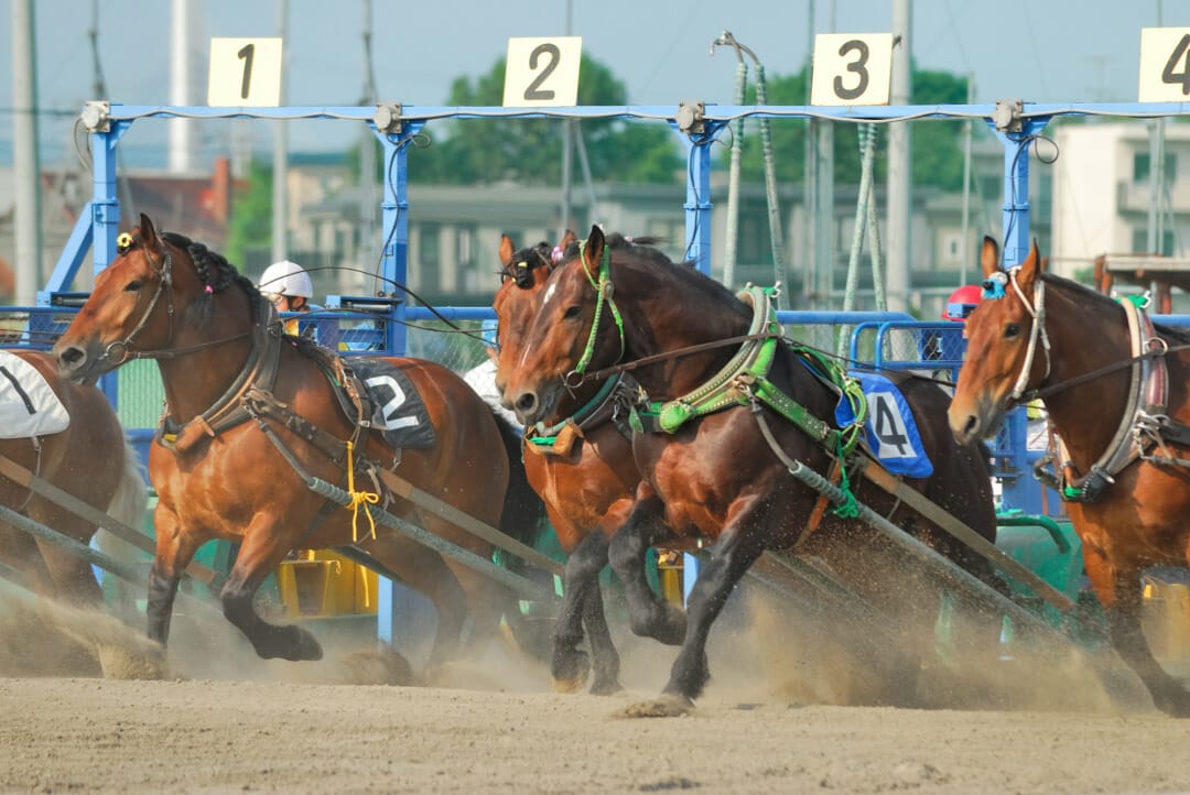 ビッグホリデー　馬のふるさと十勝・帯広旅行を提案