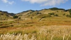 神河町の砥峰高原