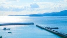 南三陸町の志津川湾