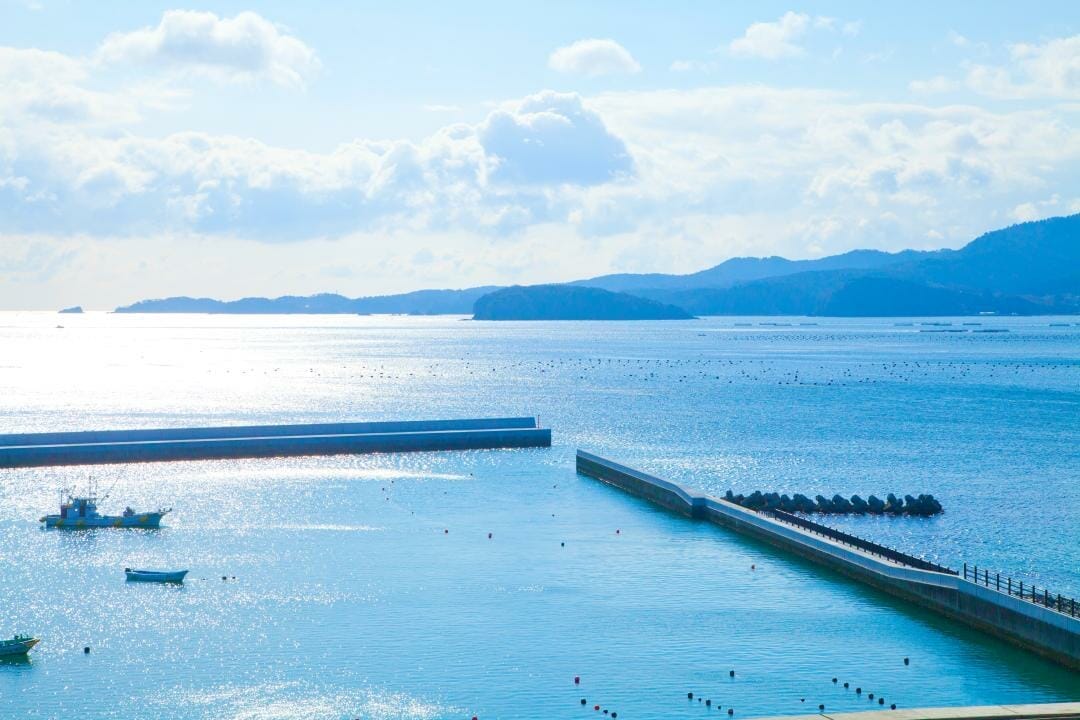 南三陸町の志津川湾