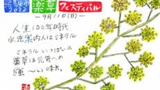 飛騨古川で飛騨市薬草フェスティバルが