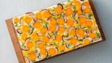 高知県の伝統食文化 こけら寿司