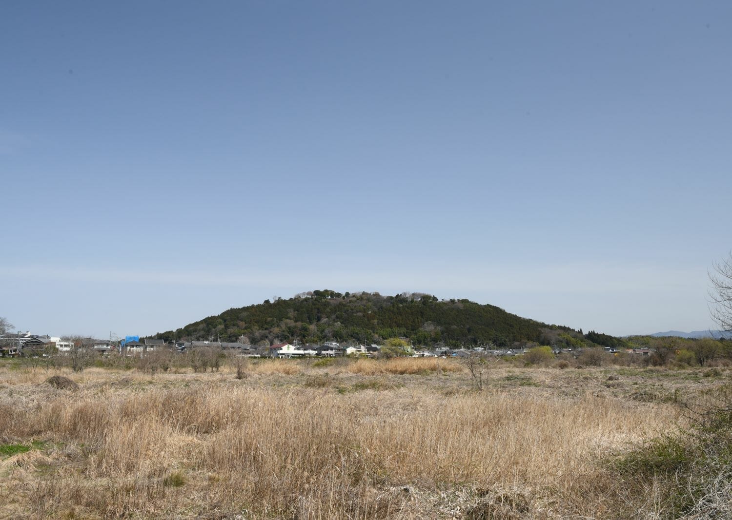 水口岡山城跡