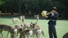 あさならの鹿寄せ