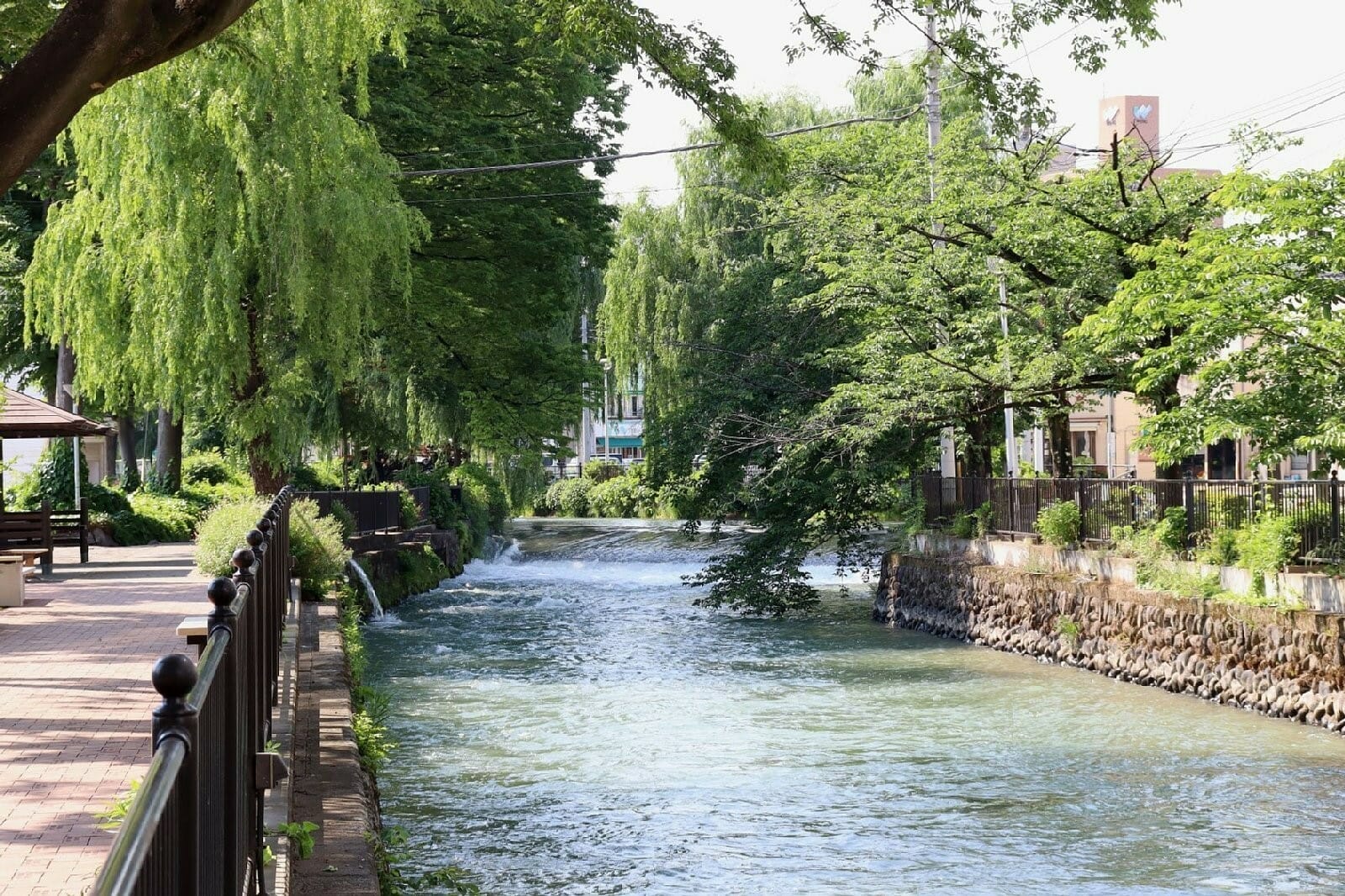 前橋市の広瀬川