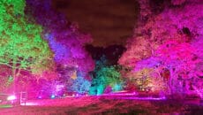 ムーミンバレーパーク