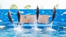 仙台うみの杜水族館