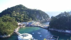 下田海中水族館