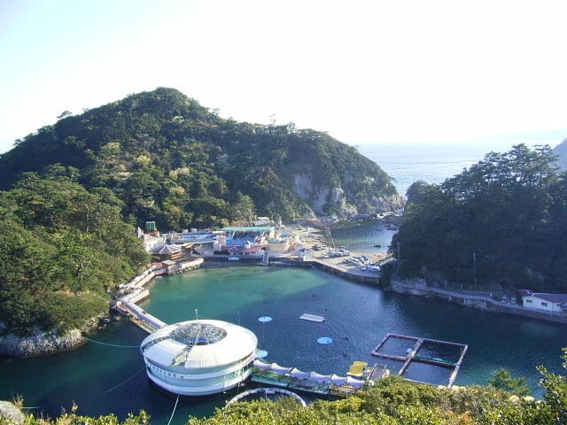 下田海中水族館