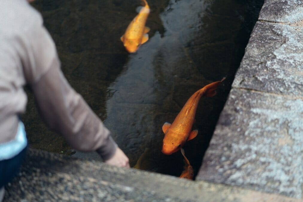 飛騨市の瀬戸川