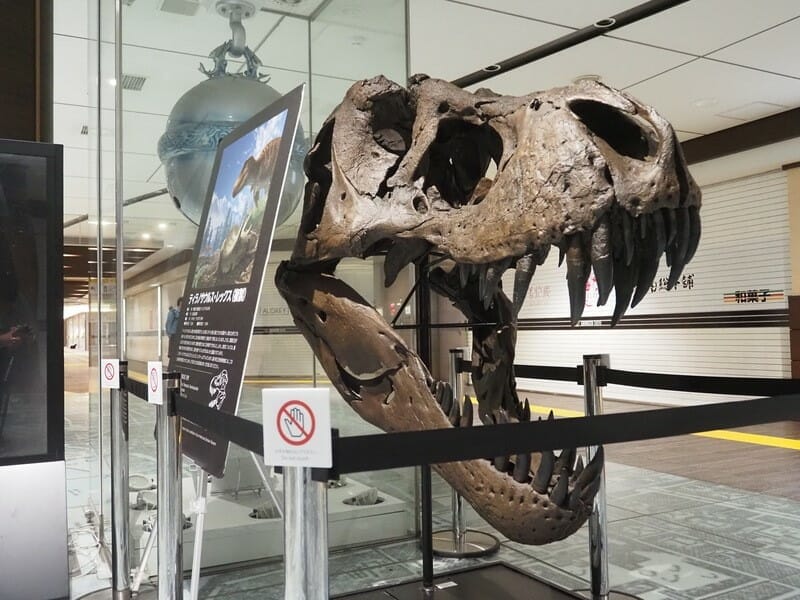 福井県イベント