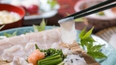 西鉄旅行の旅行商品 臼杵のふぐ