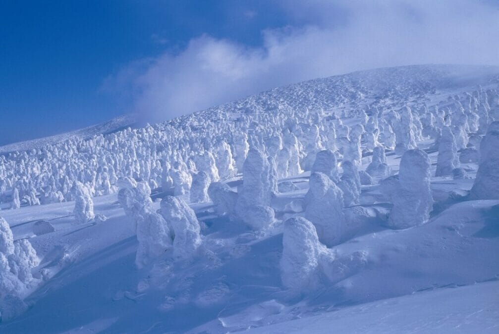 山形県「蔵王の樹氷」